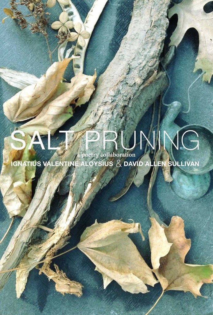 Cover of my first collaborative poetry collection, Salt Pruning.